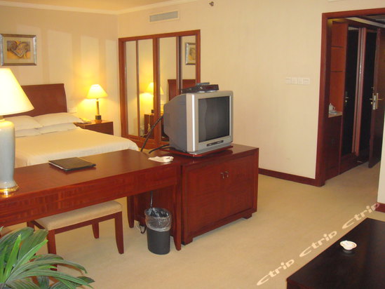 西博城早已超越单一展览场地的范畴