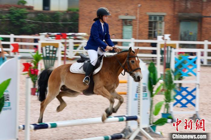 2025江西省青少年马术锦标赛暨中部三省中三角赛