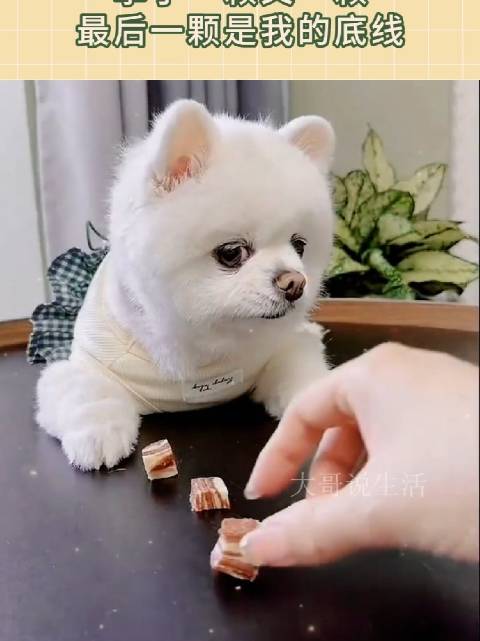 2026迈阿密赛尼奥尼绝技引爆全场，利物浦战术成